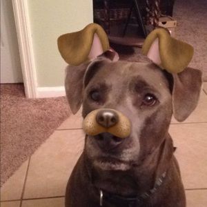 Meet your Posher, Taylor